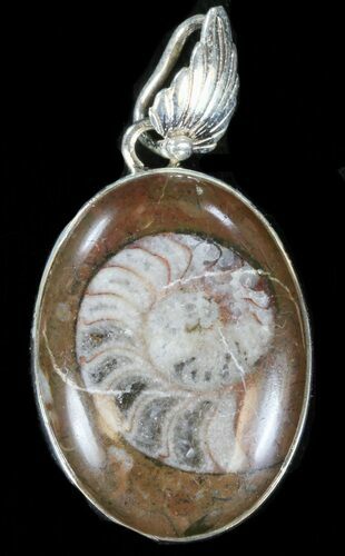 Fossil Goniatite Pendant - Sterling Silver #38086